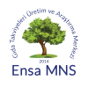Ensa MNS