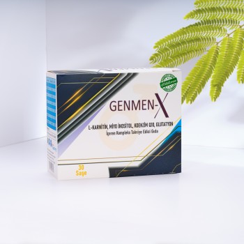 Genmen-X
